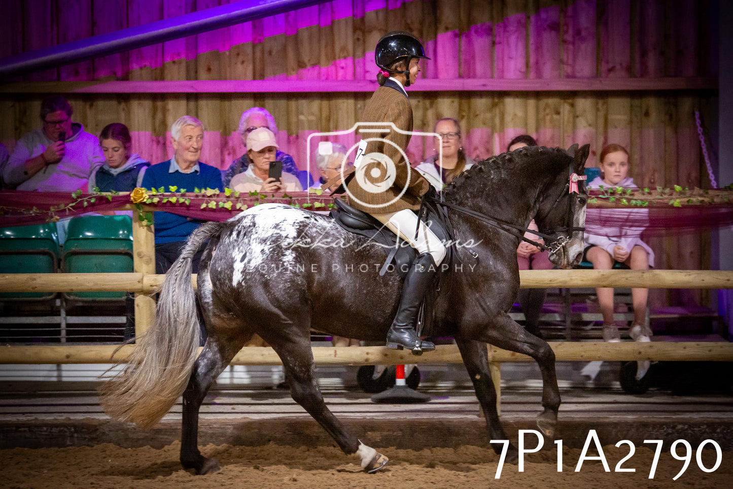 JHOYS 2025 - Ridden Showing - 28th September - pt3