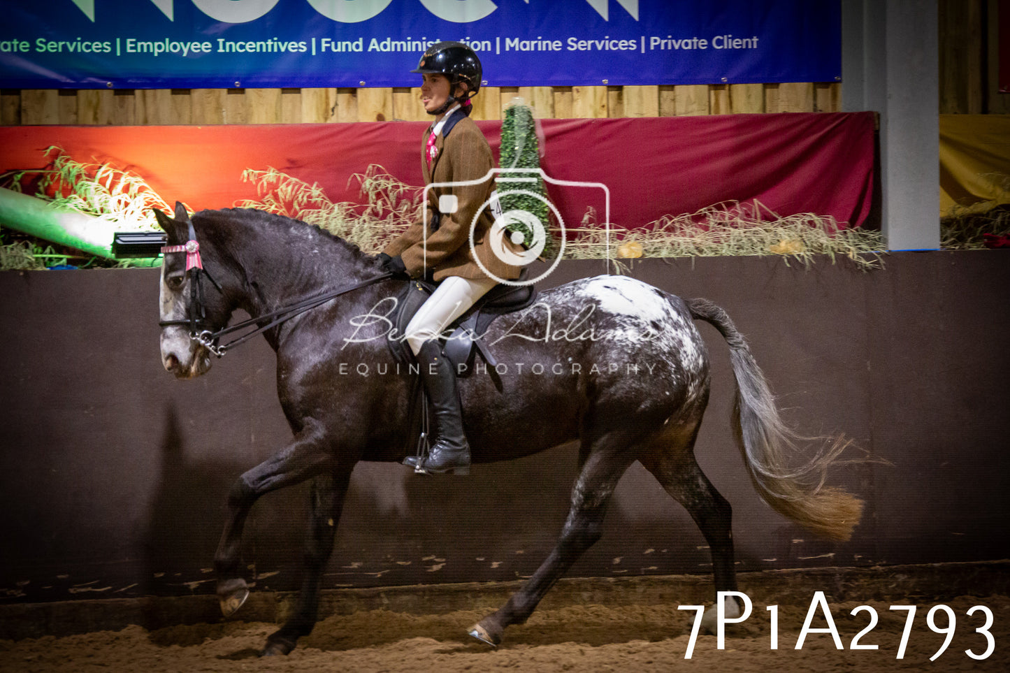 JHOYS 2025 - Ridden Showing - 28th September - pt3