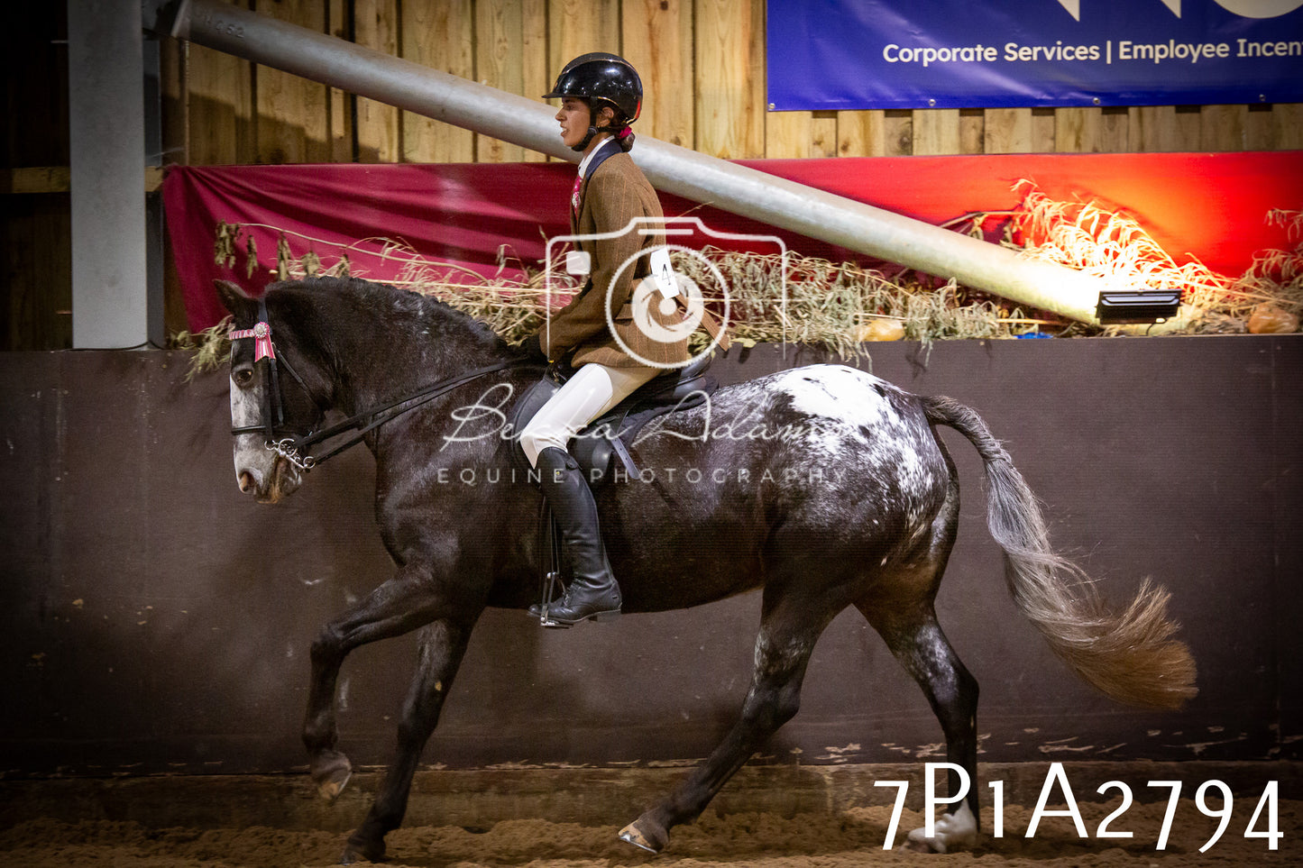 JHOYS 2025 - Ridden Showing - 28th September - pt3