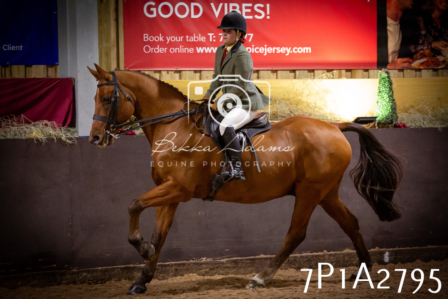 JHOYS 2025 - Ridden Showing - 28th September - pt3