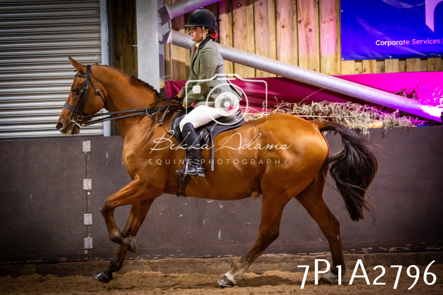 JHOYS 2025 - Ridden Showing - 28th September - pt3