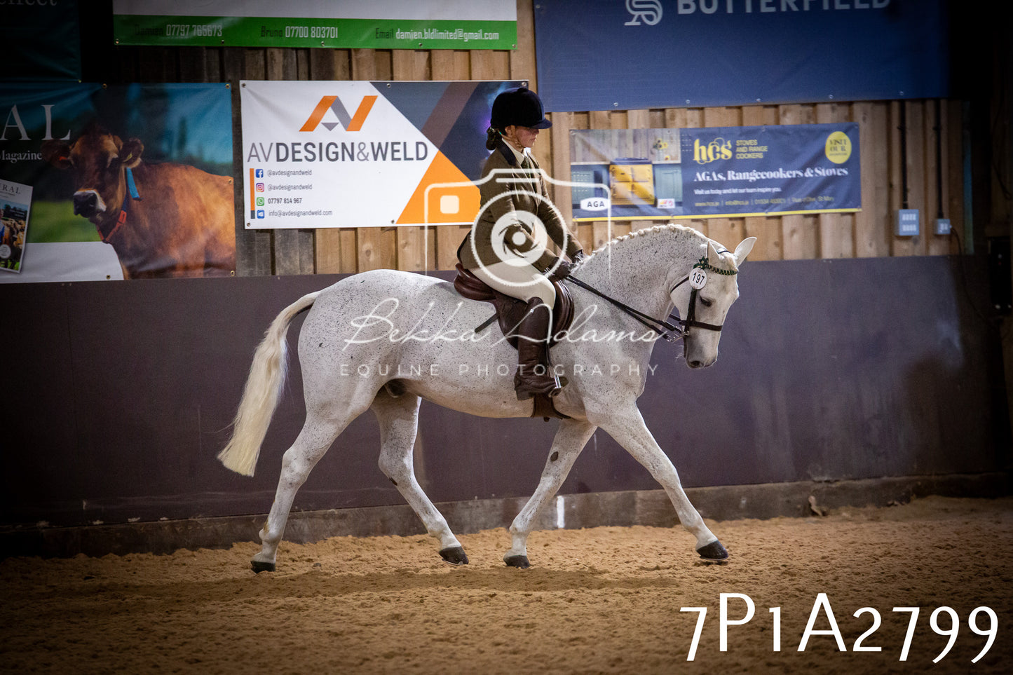 JHOYS 2025 - Ridden Showing - 28th September - pt3