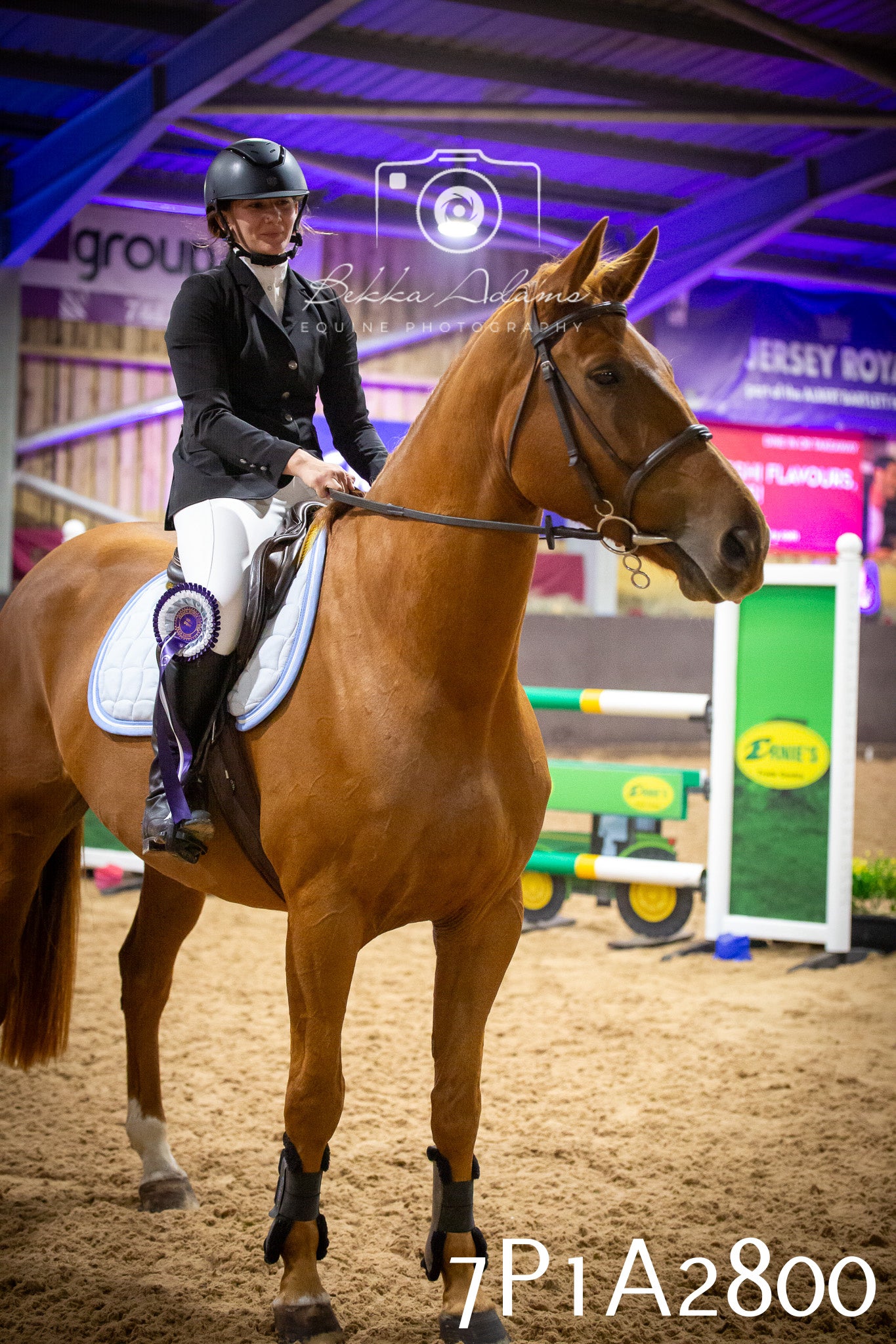 JHOYS 2025 - Show Jumping - 20th September pt2