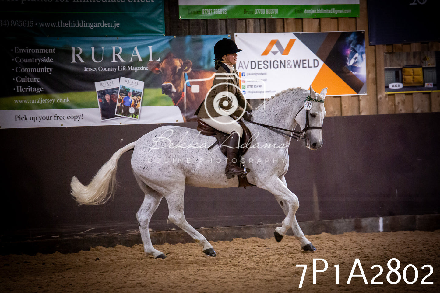 JHOYS 2025 - Ridden Showing - 28th September - pt3