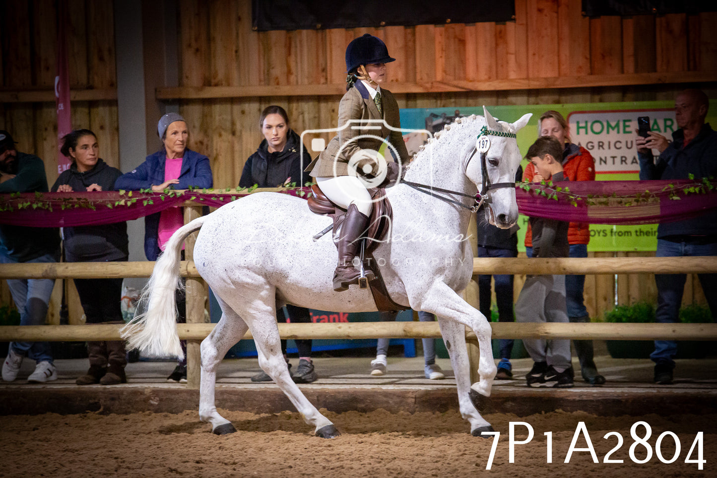 JHOYS 2025 - Ridden Showing - 28th September - pt3