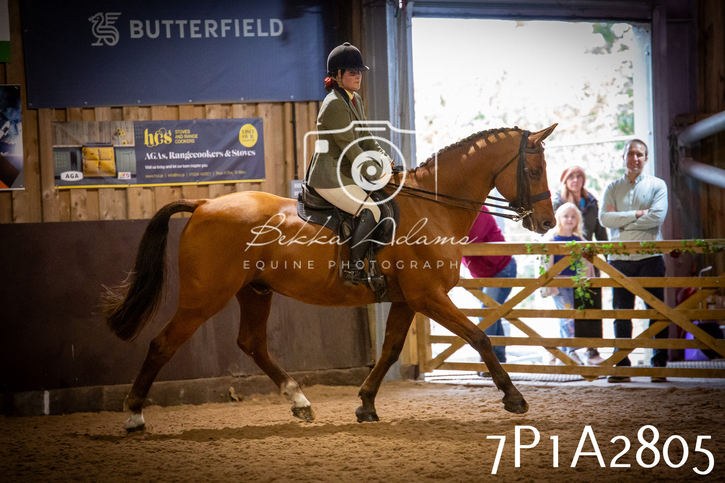 JHOYS 2025 - Ridden Showing - 28th September - pt3