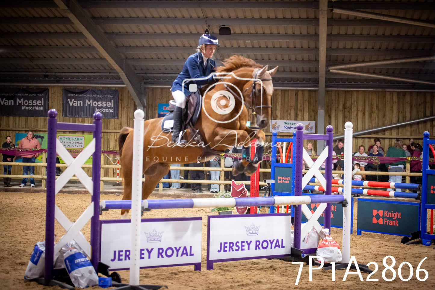 JHOYS 2025 - Show Jumping - 20th September pt2
