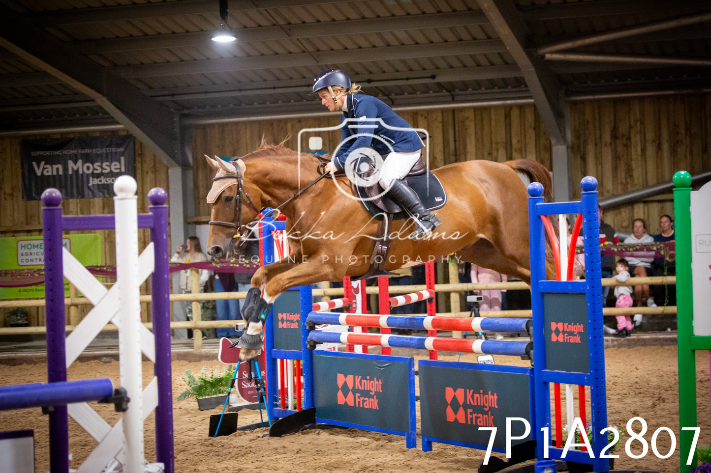 JHOYS 2025 - Show Jumping - 20th September pt2