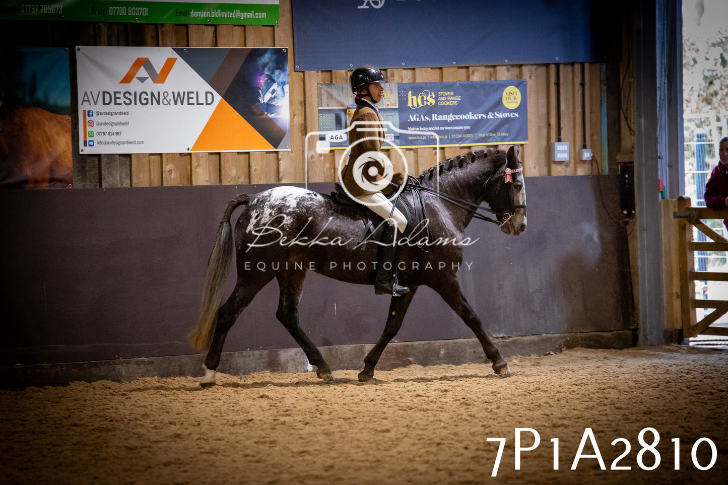 JHOYS 2025 - Ridden Showing - 28th September - pt3