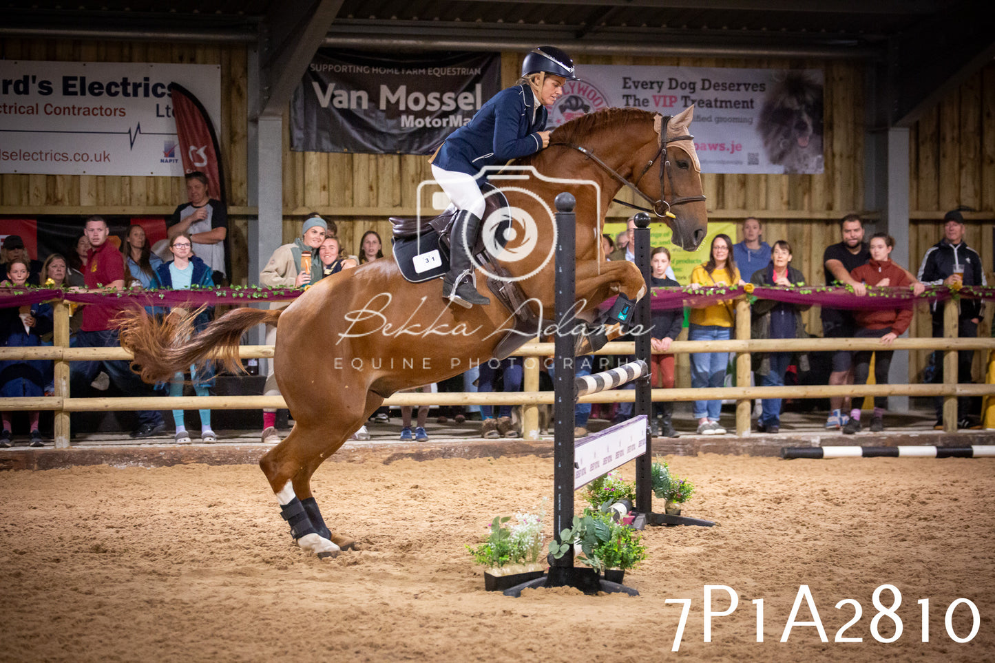 JHOYS 2025 - Show Jumping - 20th September pt2