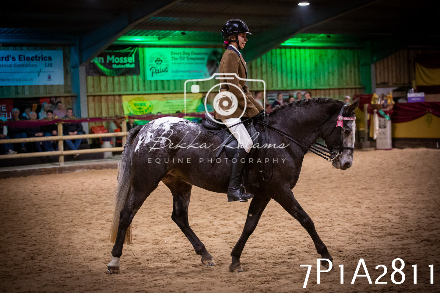 JHOYS 2025 - Ridden Showing - 28th September - pt3