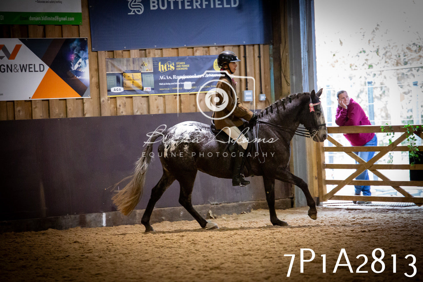 JHOYS 2025 - Ridden Showing - 28th September - pt3