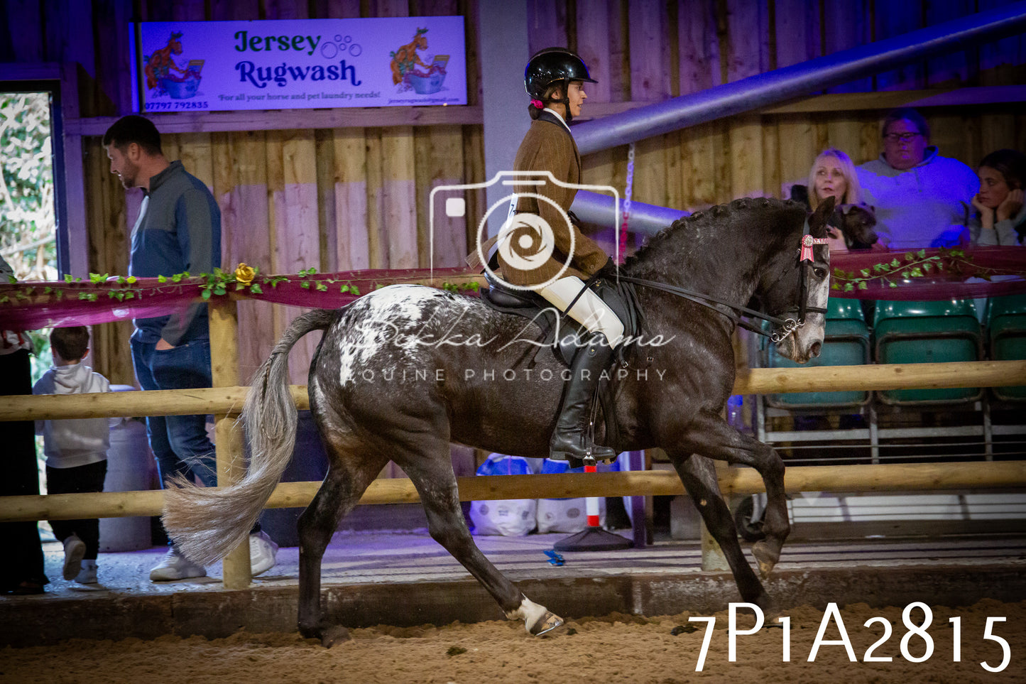 JHOYS 2025 - Ridden Showing - 28th September - pt3