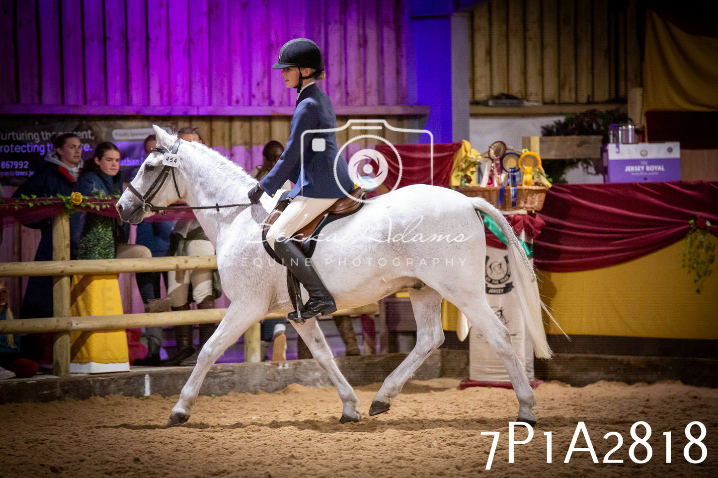 JHOYS 2025 - Ridden Showing - 28th September - pt3