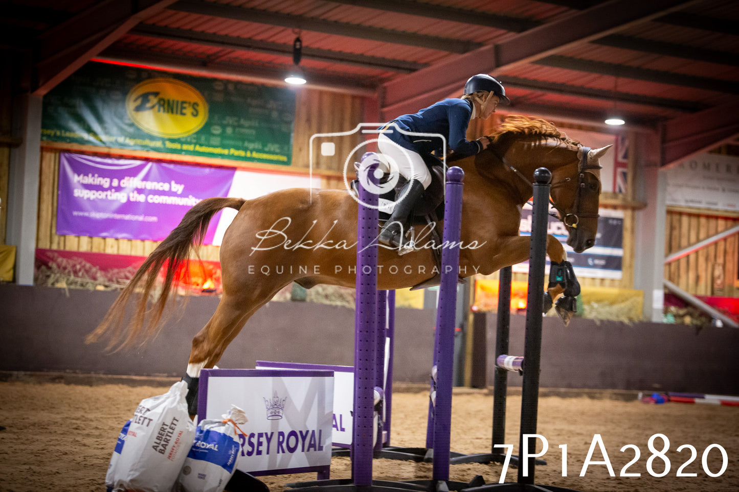 JHOYS 2025 - Show Jumping - 20th September - Puissance