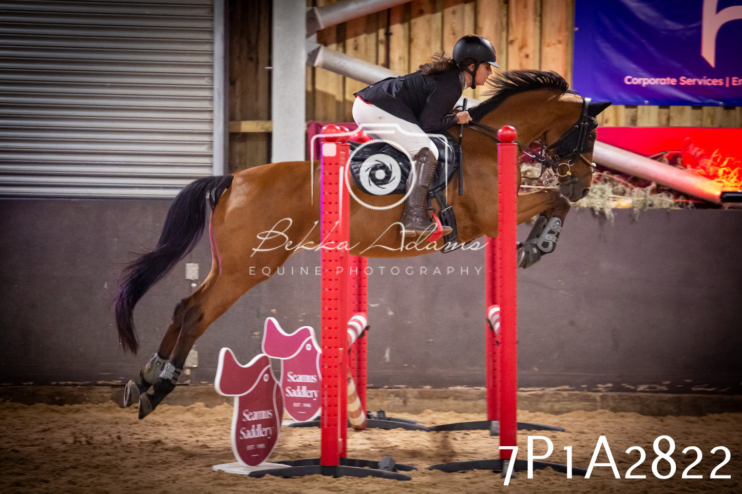 JHOYS 2025 - Show Jumping - 20th September - Puissance