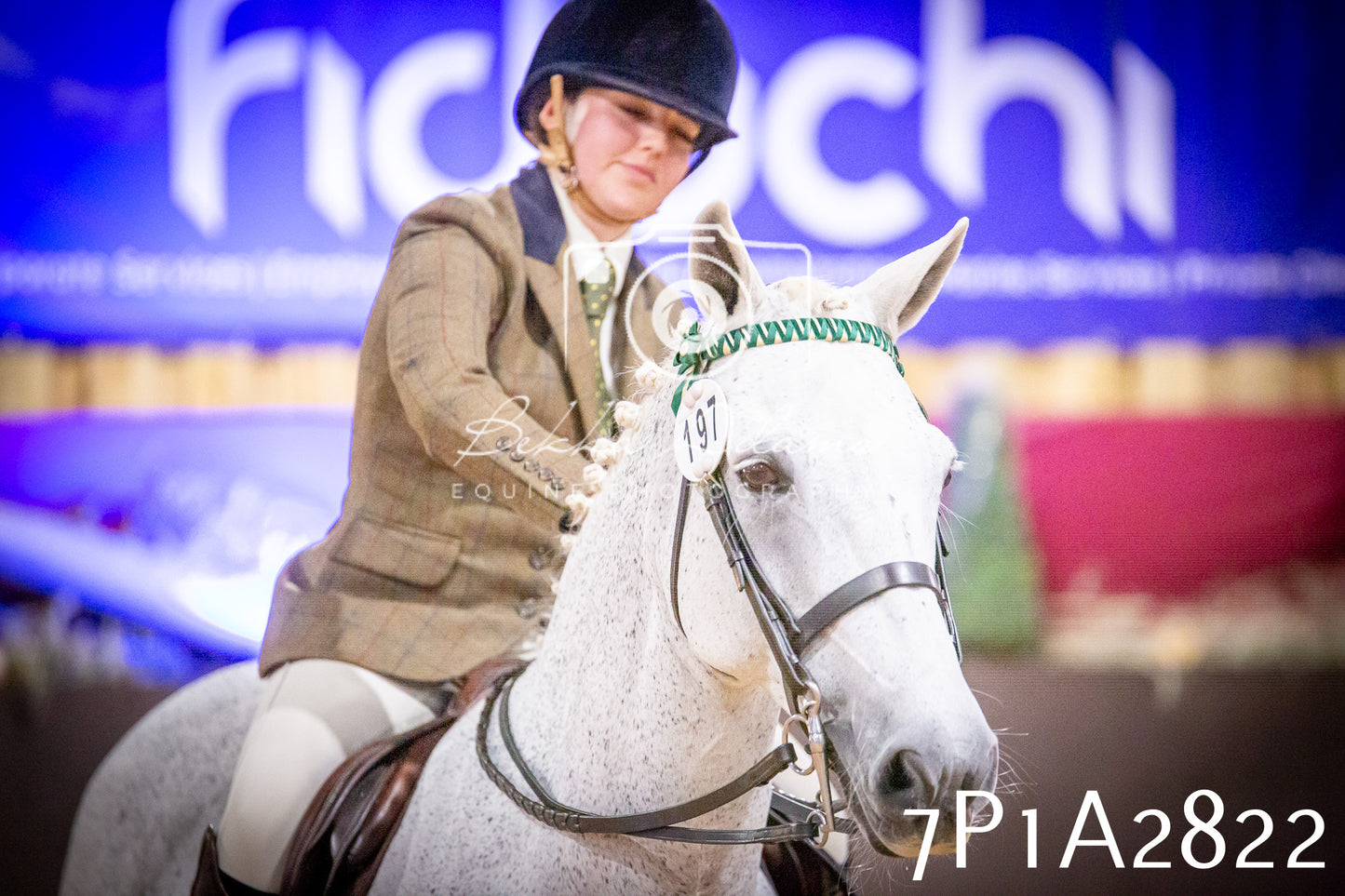 JHOYS 2025 - Ridden Showing - 28th September - pt3