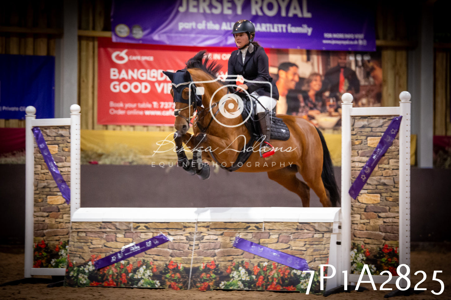JHOYS 2025 - Show Jumping - 20th September - Puissance