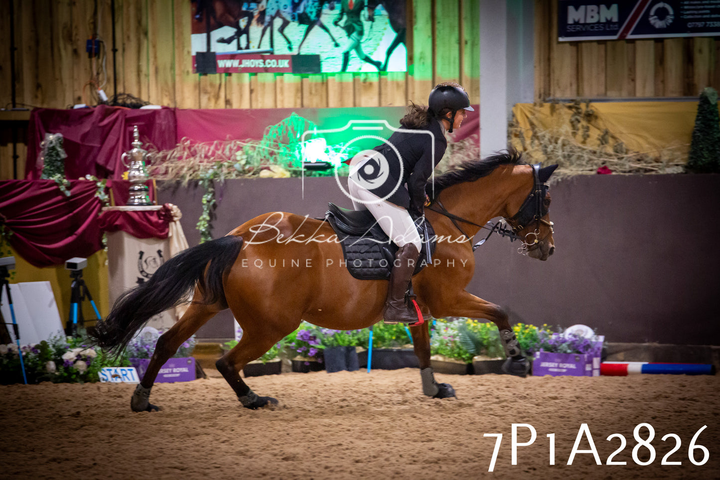 JHOYS 2025 - Show Jumping - 20th September - Puissance