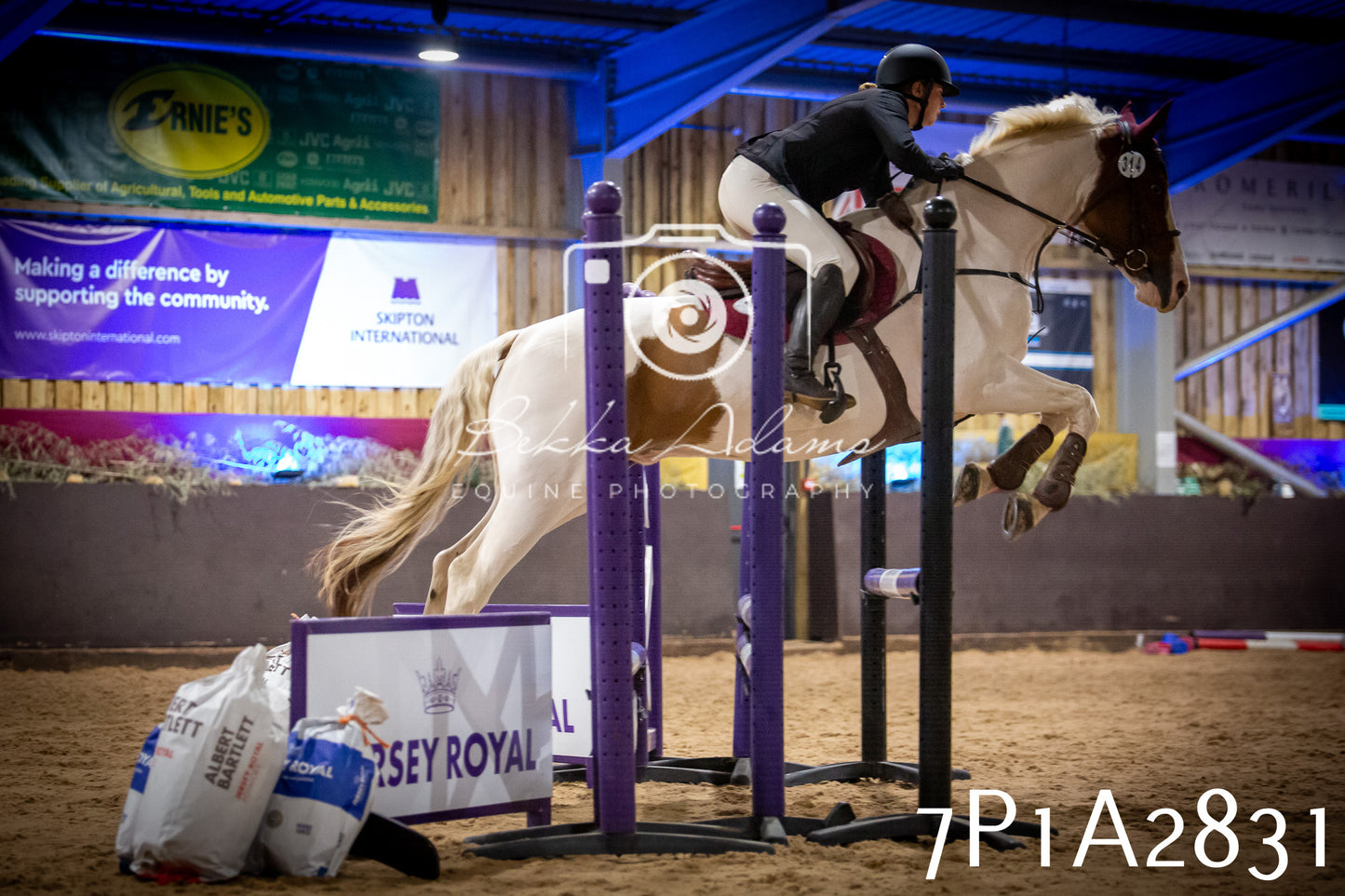 JHOYS 2025 - Show Jumping - 20th September - Puissance