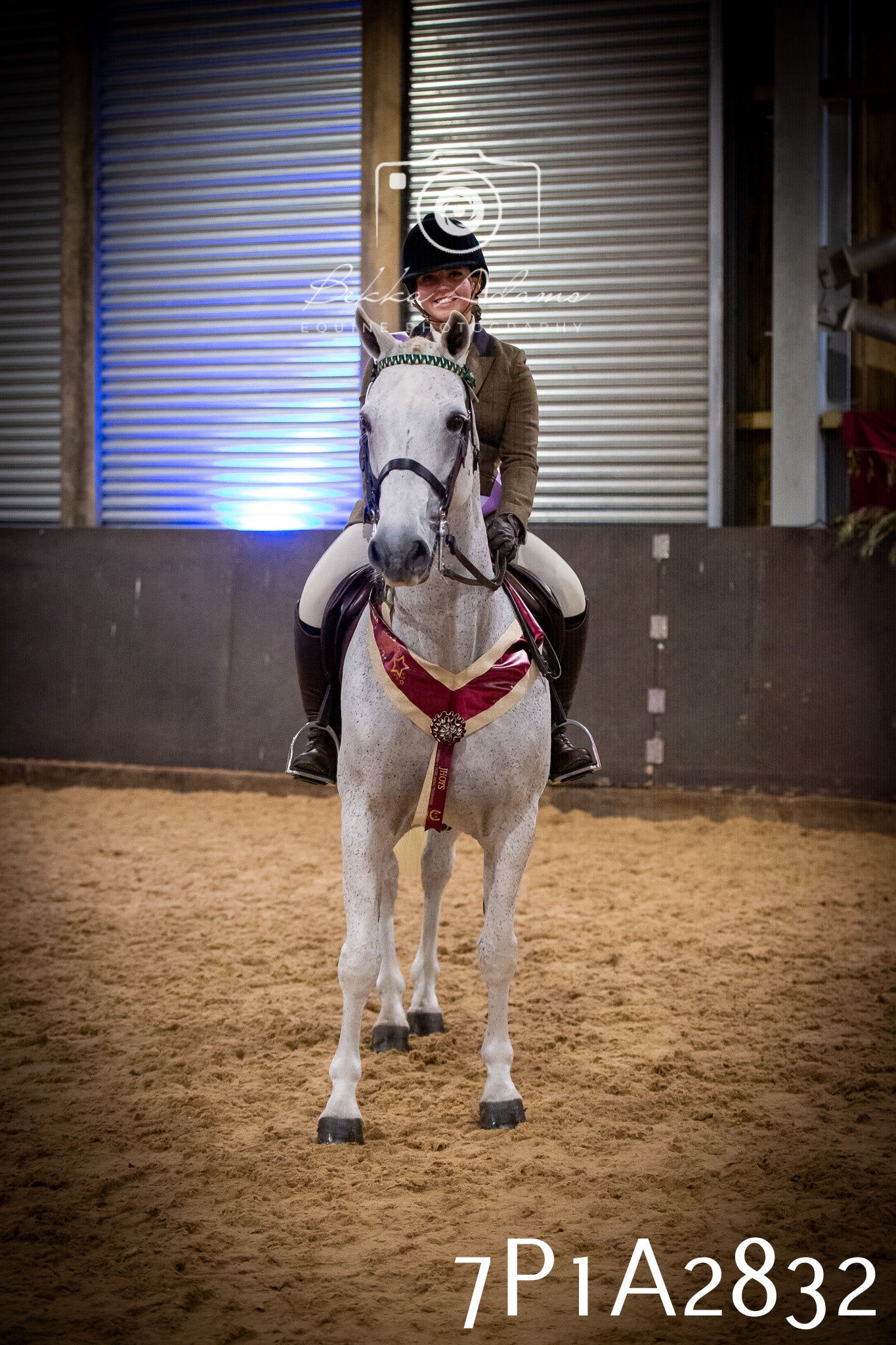 JHOYS 2025 - Ridden Showing - 28th September - pt3