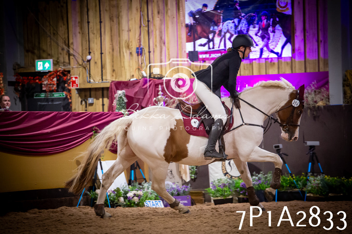 JHOYS 2025 - Show Jumping - 20th September - Puissance