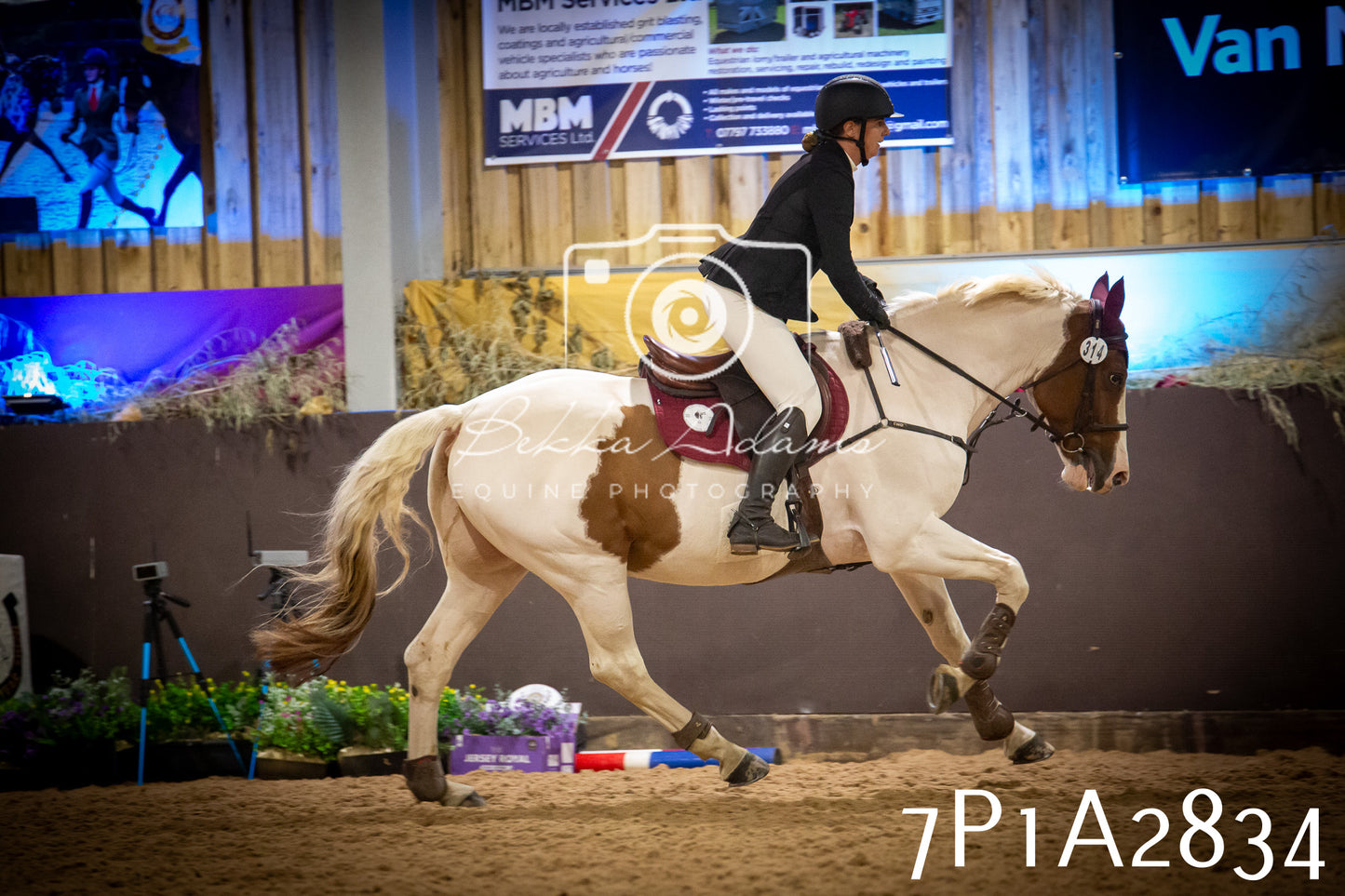 JHOYS 2025 - Show Jumping - 20th September - Puissance