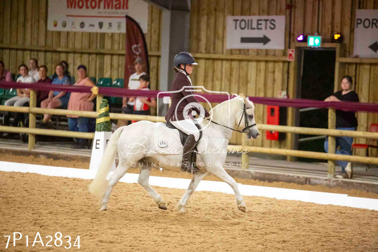 JHOYS 2023 - 6th September - Dressage