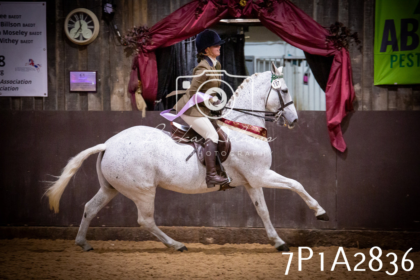 JHOYS 2025 - Ridden Showing - 28th September - pt3