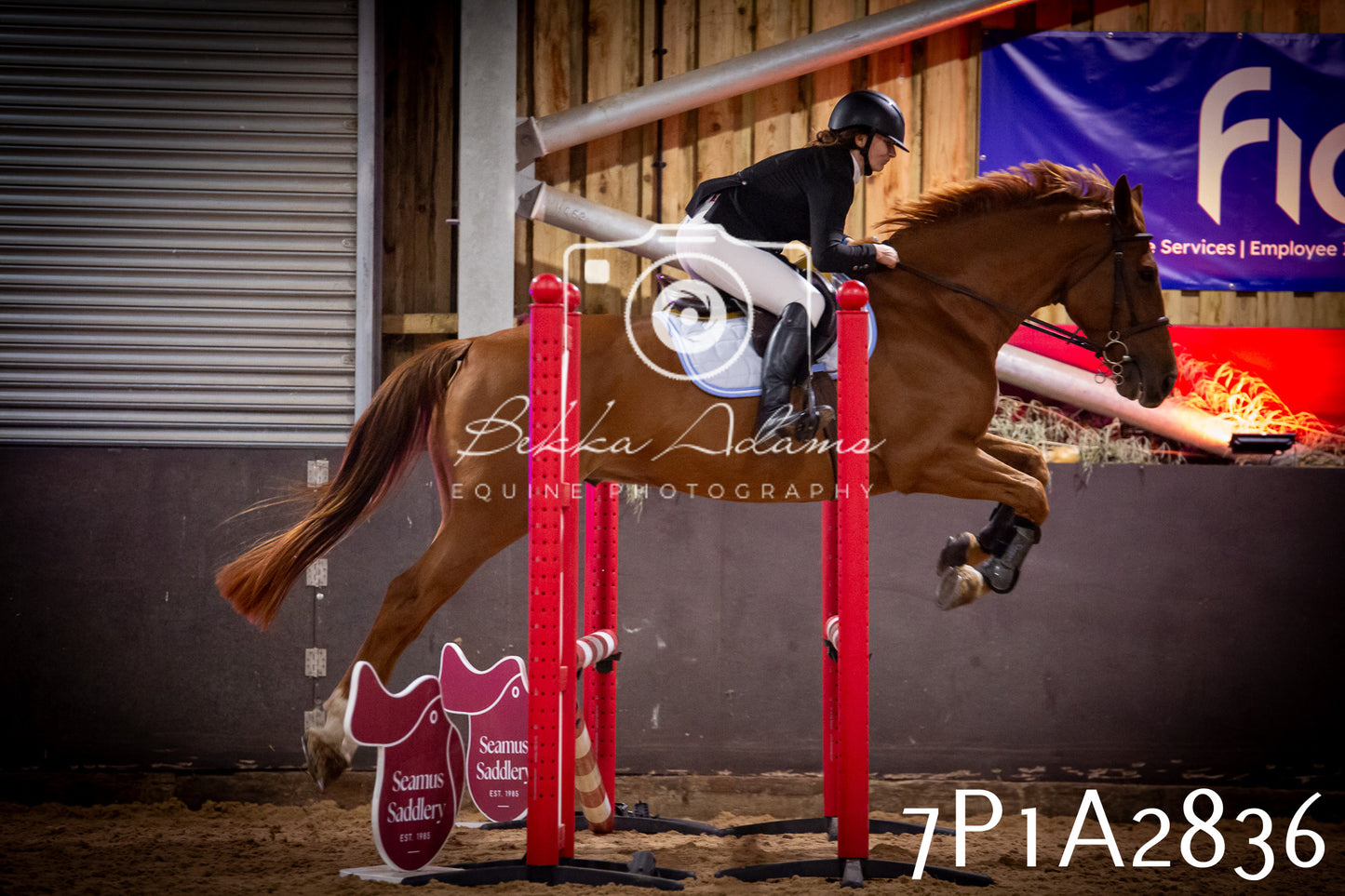 JHOYS 2025 - Show Jumping - 20th September - Puissance