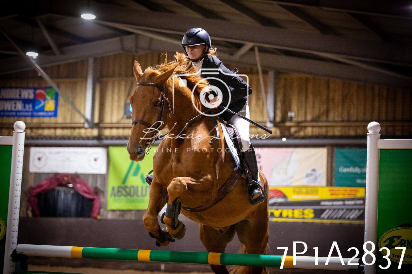 JHOYS 2025 - Show Jumping - 20th September - Puissance
