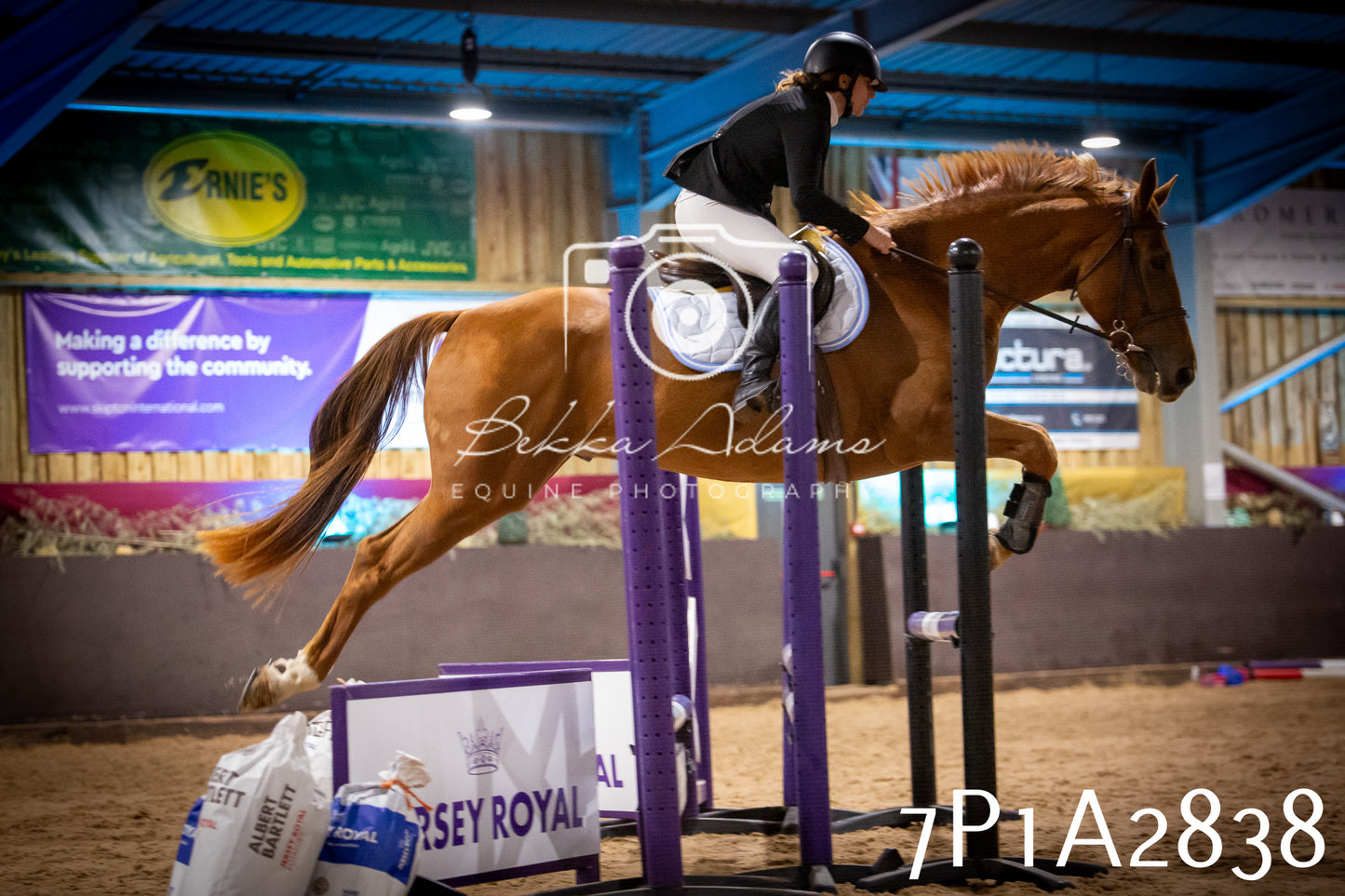 JHOYS 2025 - Show Jumping - 20th September - Puissance