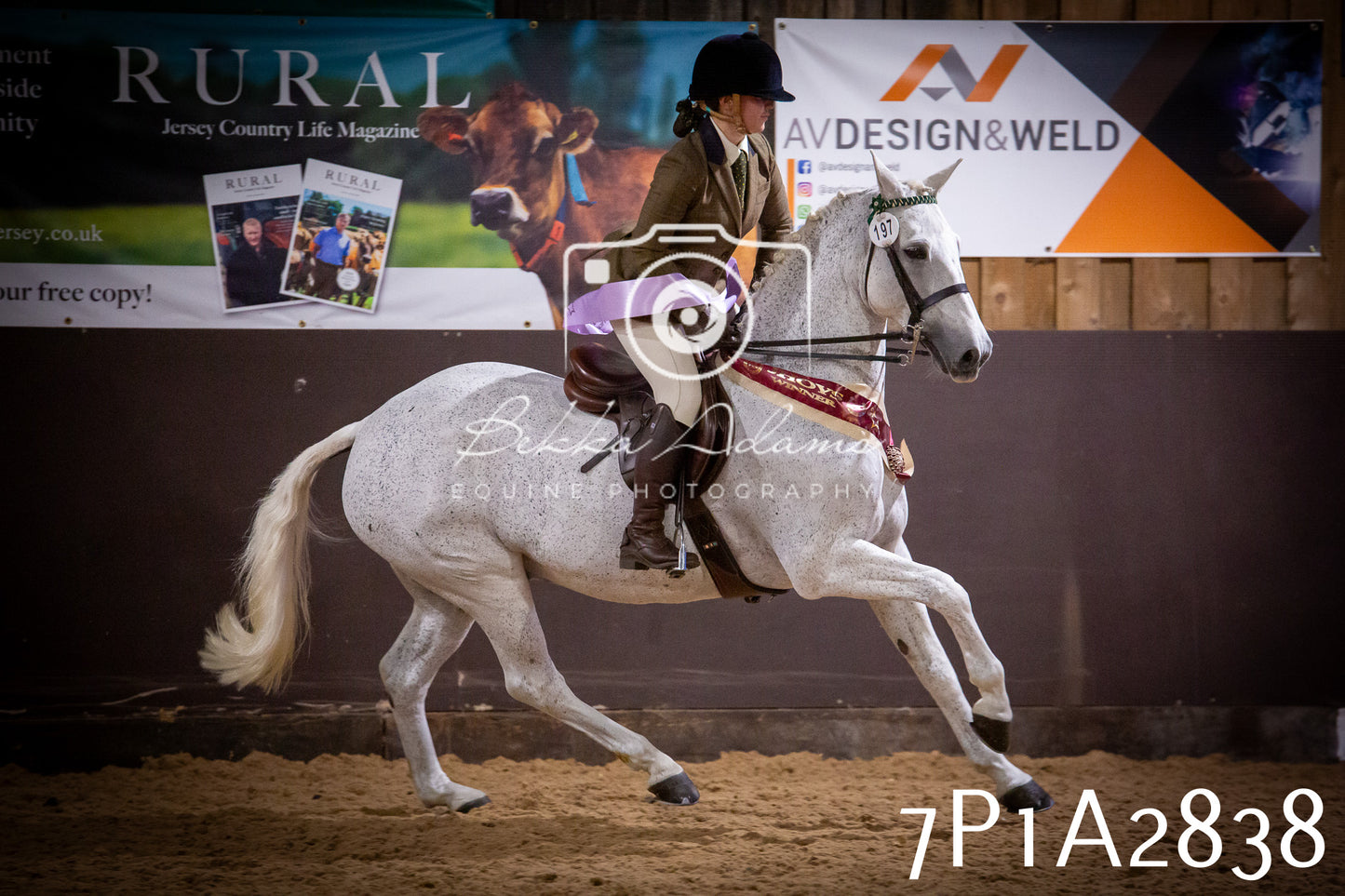 JHOYS 2025 - Ridden Showing - 28th September - pt3