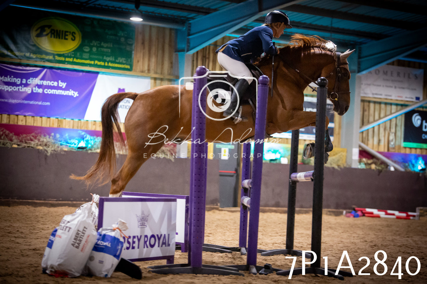 JHOYS 2025 - Show Jumping - 20th September - Puissance
