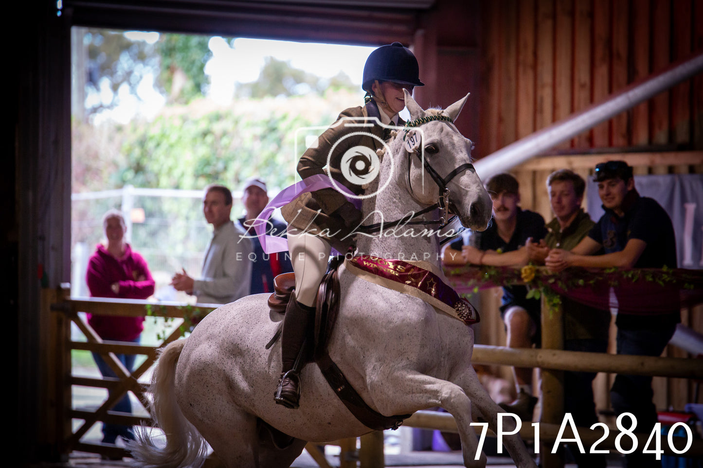 JHOYS 2025 - Ridden Showing - 28th September - pt3