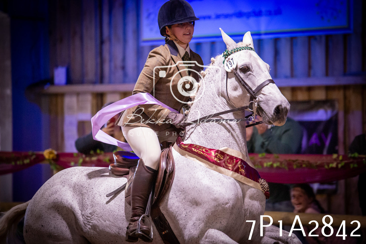 JHOYS 2025 - Ridden Showing - 28th September - pt3