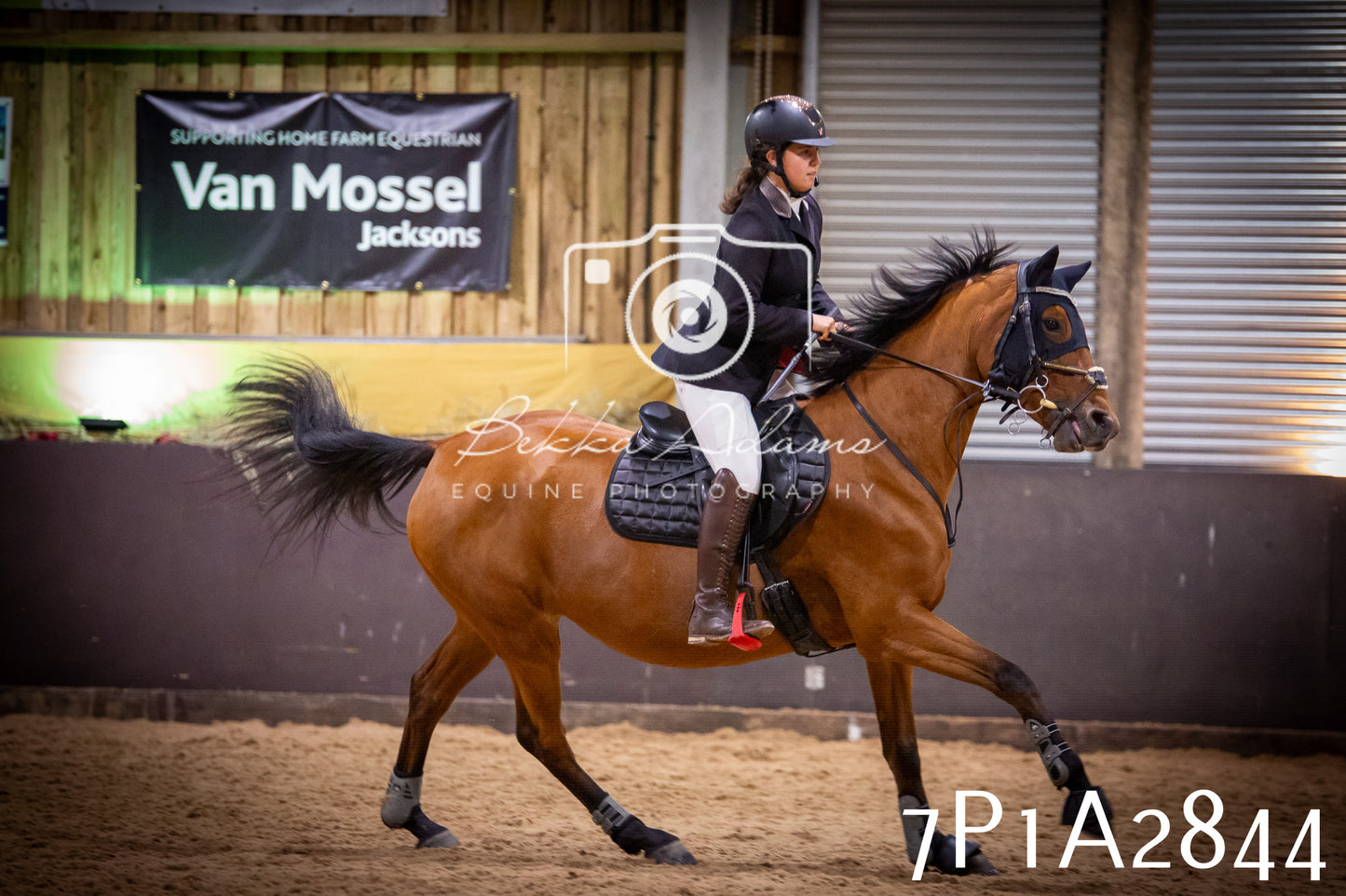 JHOYS 2025 - Show Jumping - 20th September - Puissance