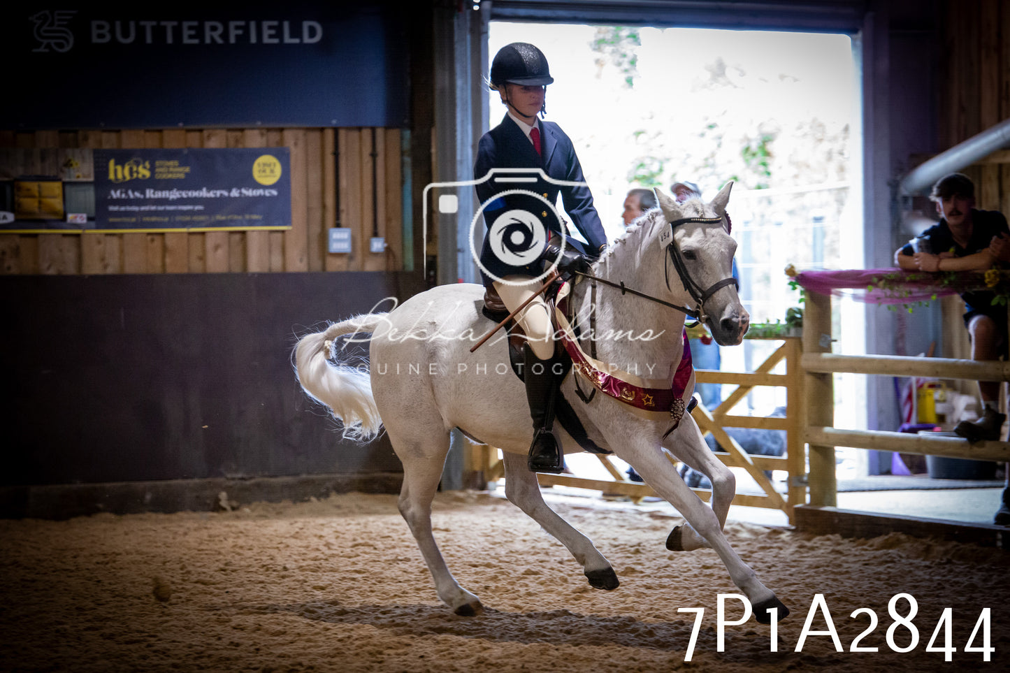 JHOYS 2025 - Ridden Showing - 28th September - pt3