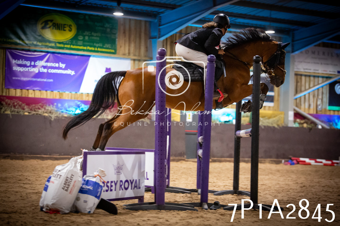 JHOYS 2025 - Show Jumping - 20th September - Puissance