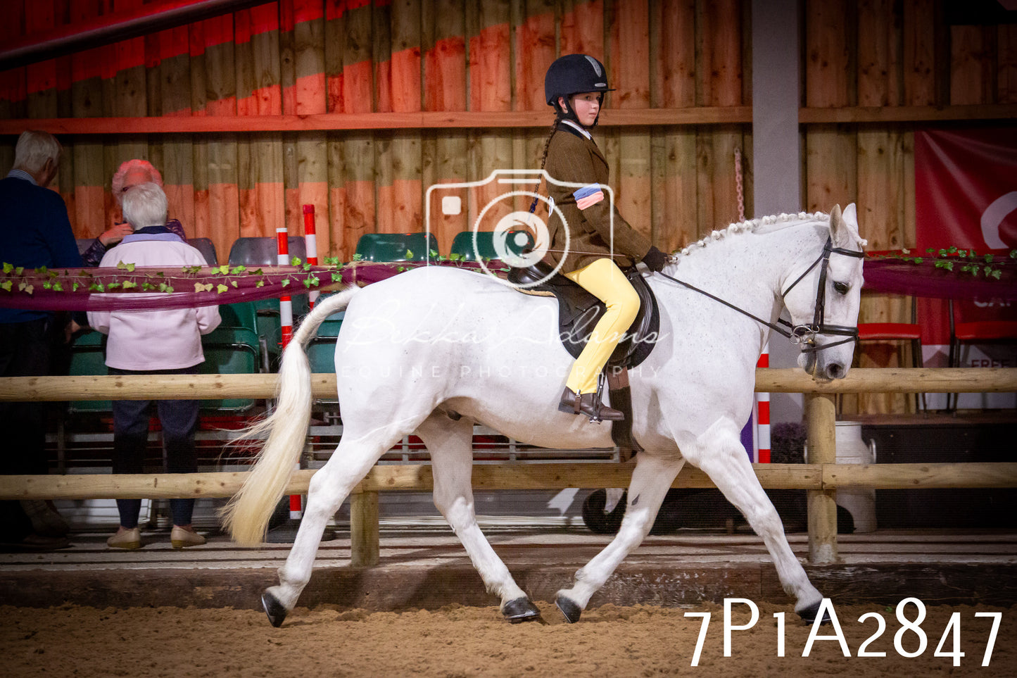 JHOYS 2025 - Ridden Showing - 28th September - pt3