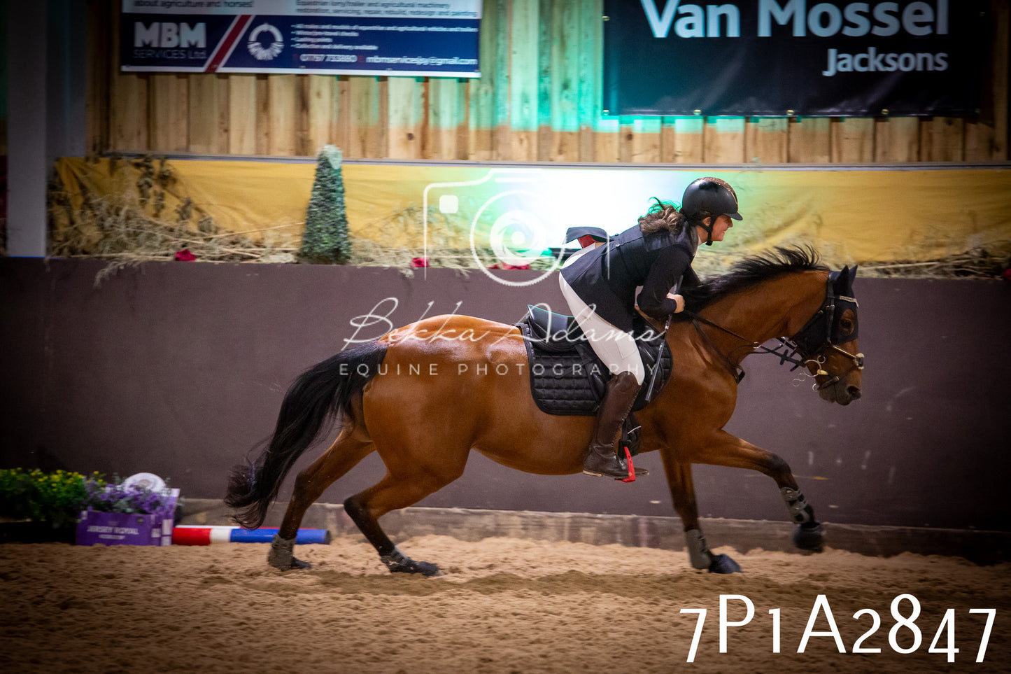 JHOYS 2025 - Show Jumping - 20th September - Puissance