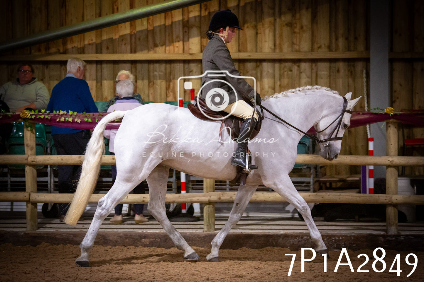 JHOYS 2025 - Ridden Showing - 28th September - pt3