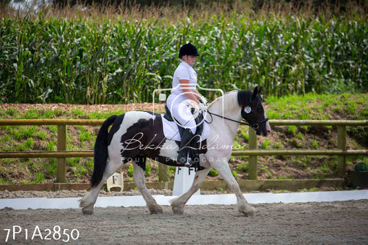 JHOYS 2023 - 7th Septemeber - Dressage