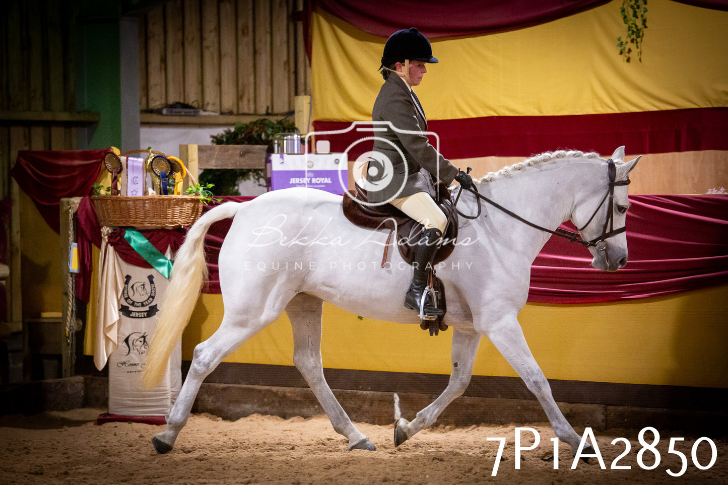 JHOYS 2025 - Ridden Showing - 28th September - pt3