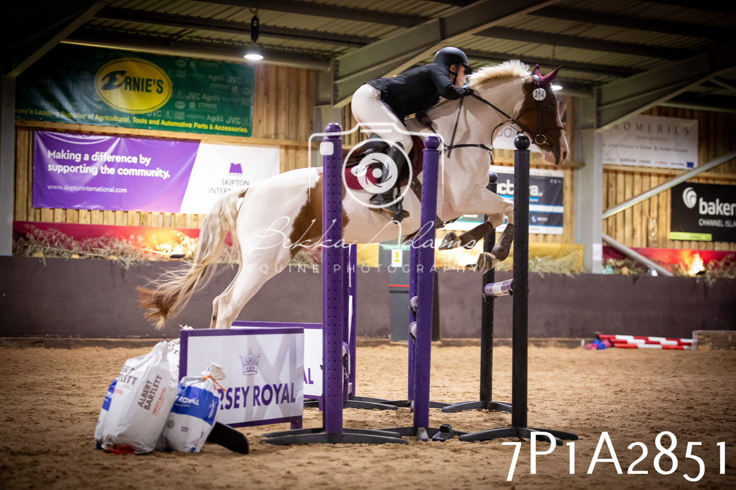 JHOYS 2025 - Show Jumping - 20th September - Puissance