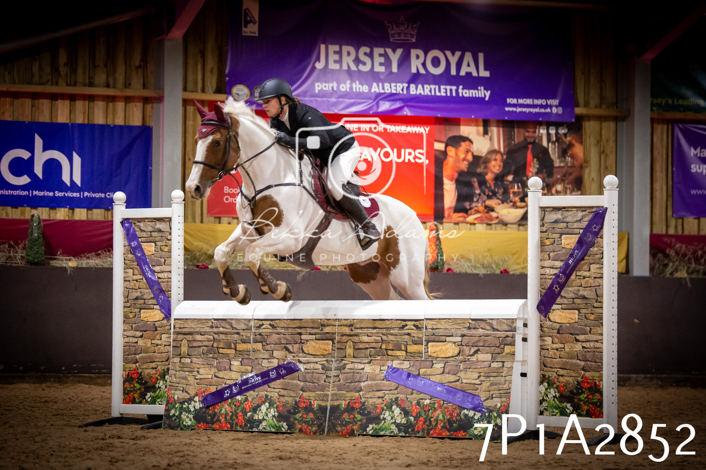 JHOYS 2025 - Show Jumping - 20th September - Puissance