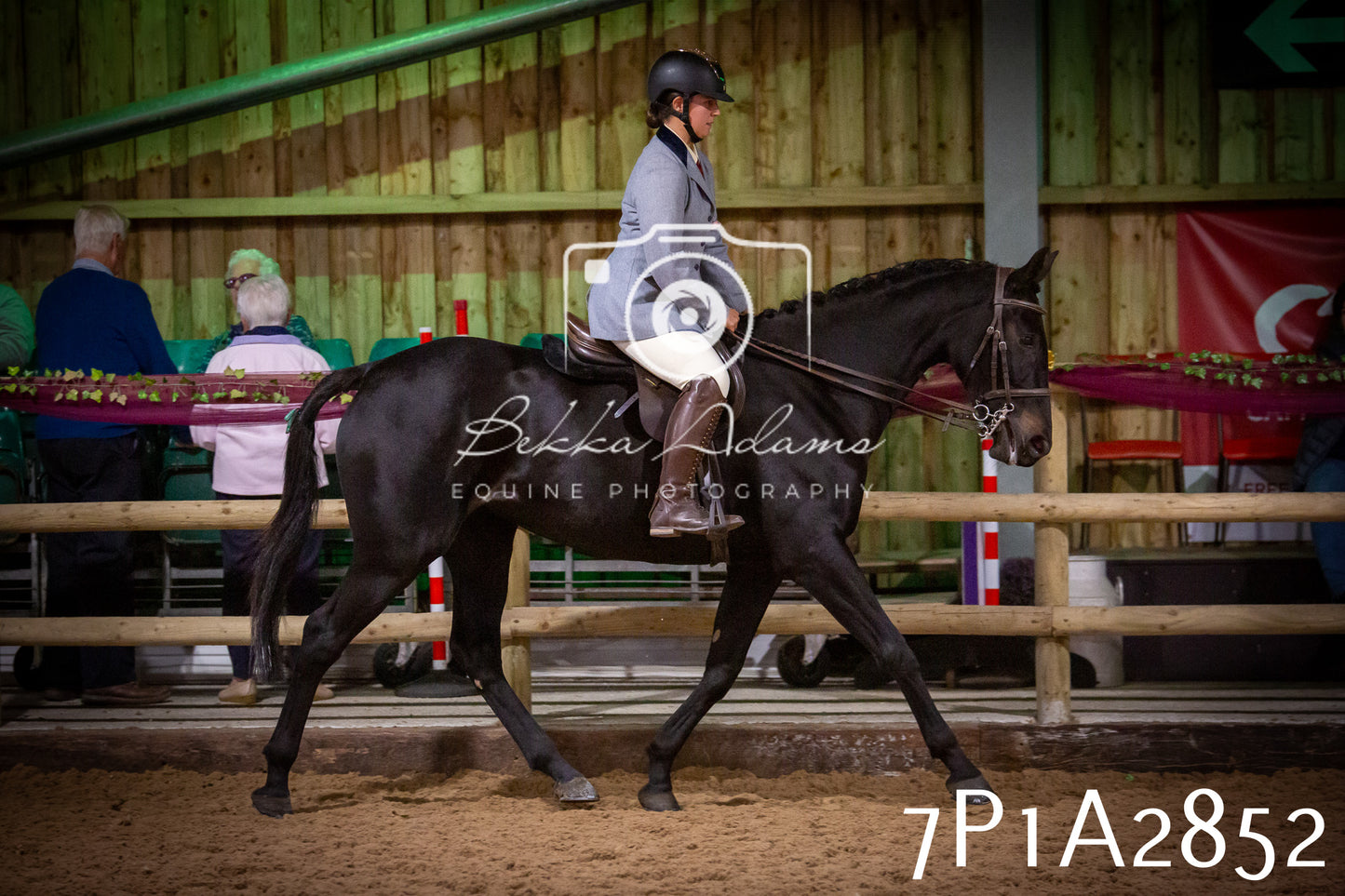 JHOYS 2025 - Ridden Showing - 28th September - pt3