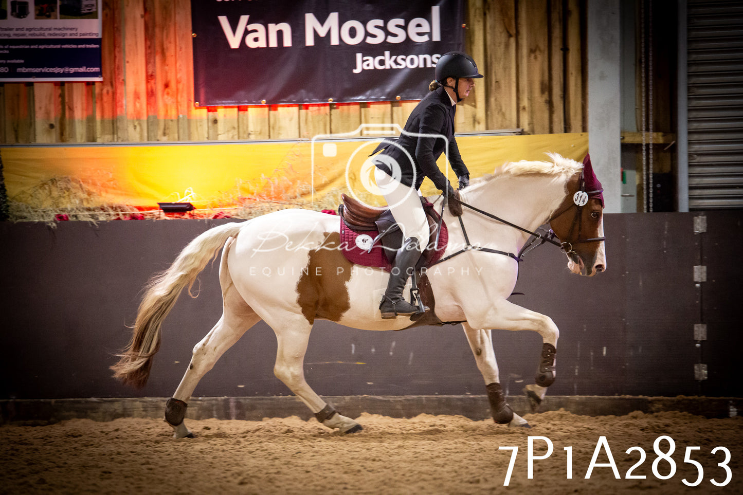 JHOYS 2025 - Show Jumping - 20th September - Puissance