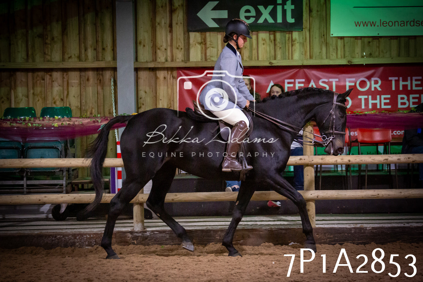 JHOYS 2025 - Ridden Showing - 28th September - pt3