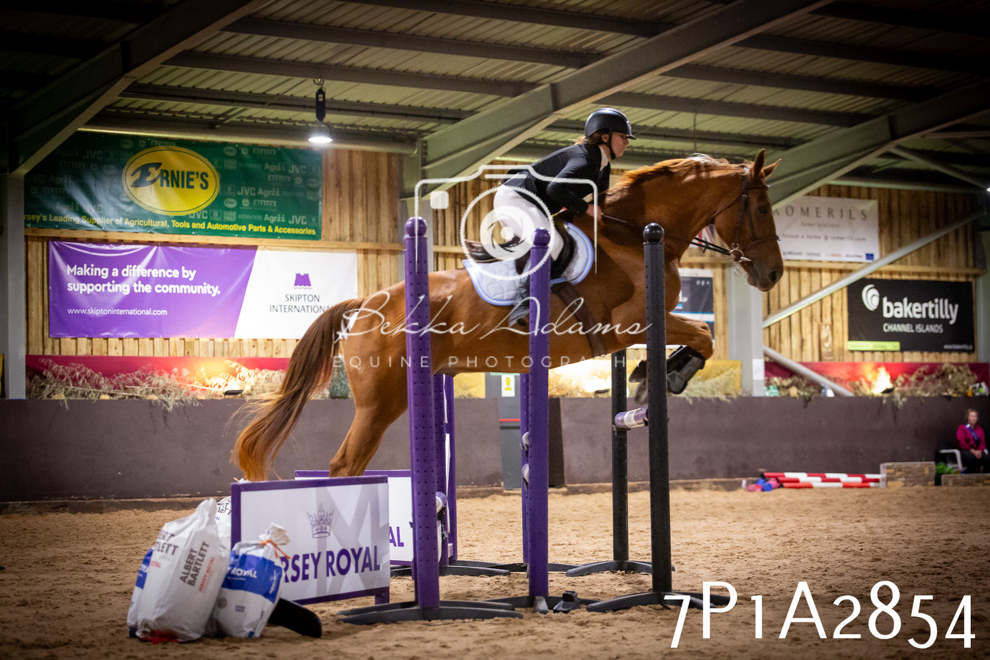 JHOYS 2025 - Show Jumping - 20th September - Puissance